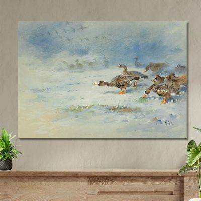 Arnacle Geese Archibald Thorburn, ath17 canvas print