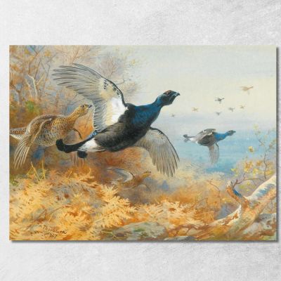 Fagiano Di Monte In Primo Piano Archibald Thorburn ath24 quadro stampa su tela