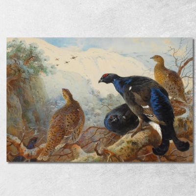 Fagiani Di Monte Archibald Thorburn ath28 quadro stampa su tela
