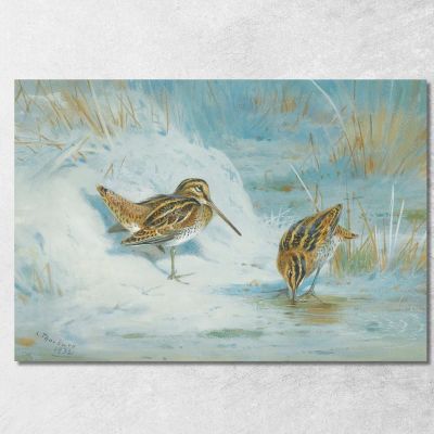 Beccaccino Congelato Archibald Thorburn ath48 quadro stampa su tela