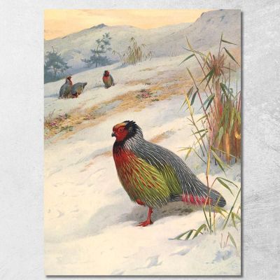 Pernice Sanguigna Di Kuser Archibald Thorburn ath60 quadro stampa su tela