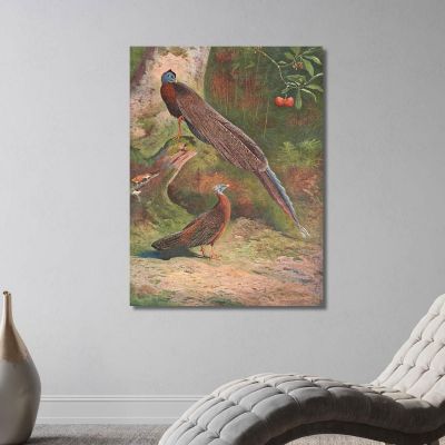 Fagiano Argus Malese Archibald Thorburn, ath64 quadro stampa su tela