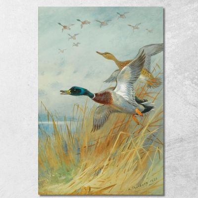 Germano Reale In Decollo Archibald Thorburn ath66 quadro stampa su tela