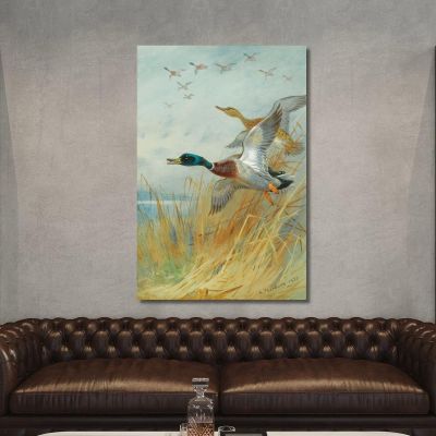 Germano Reale In Decollo Archibald Thorburn ath66 quadro stampa su tela