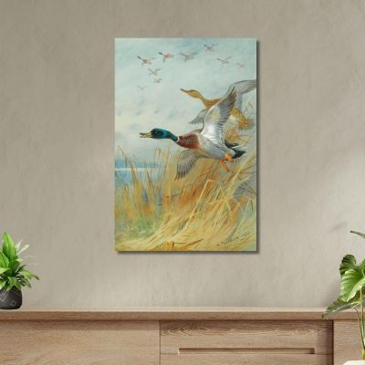 Germano Reale In Decollo Archibald Thorburn ath66 quadro stampa su tela