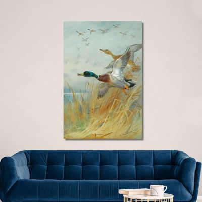Germano Reale In Decollo Archibald Thorburn ath66 quadro stampa su tela