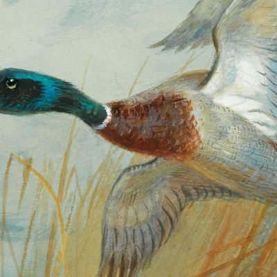 Germano Reale In Decollo Archibald Thorburn ath66 quadro stampa su tela