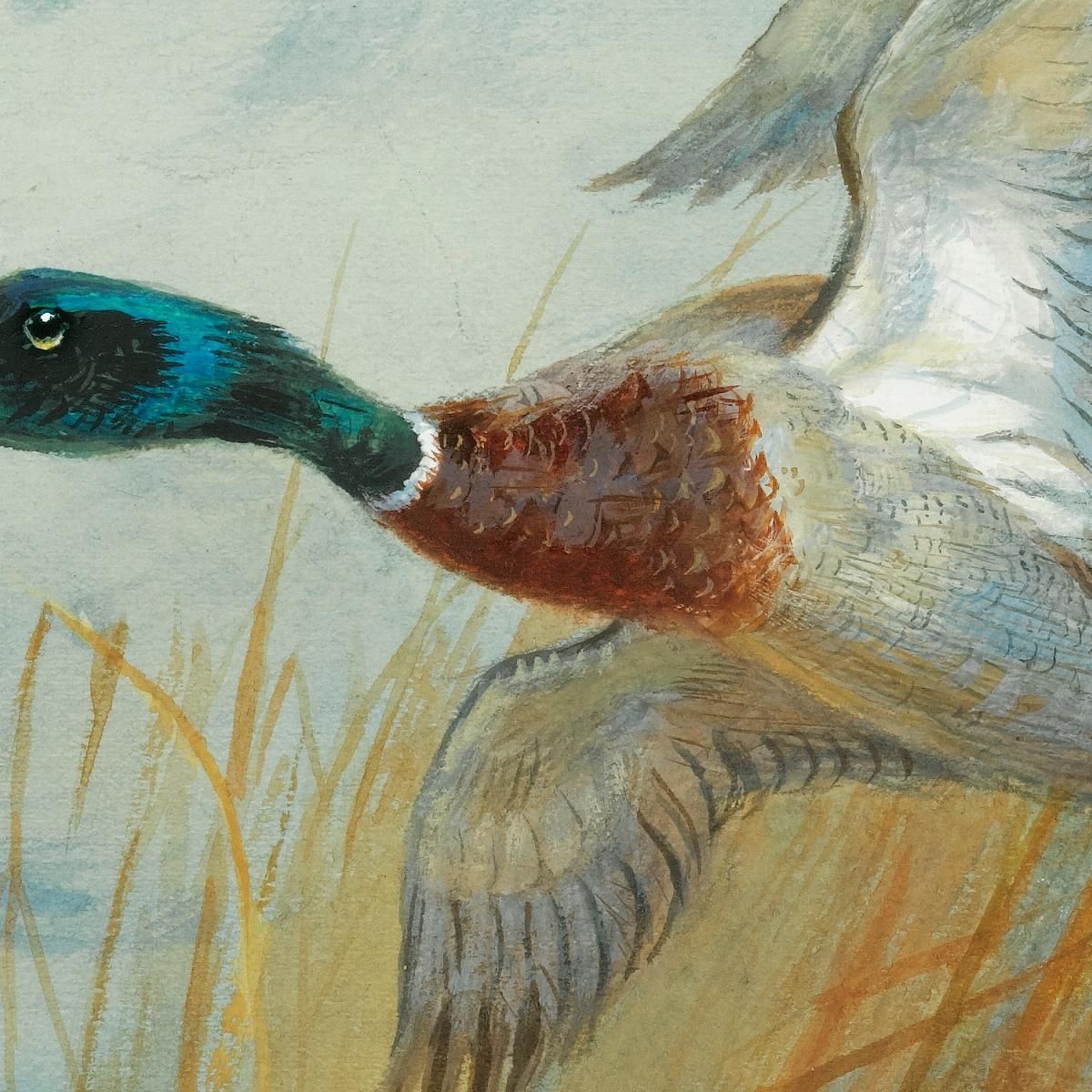 Germano Reale In Decollo Archibald Thorburn ath66 quadro stampa su tela