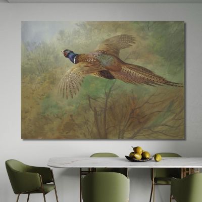 Pheasant In Flight Archibald Thorburn, ath80 canvas print