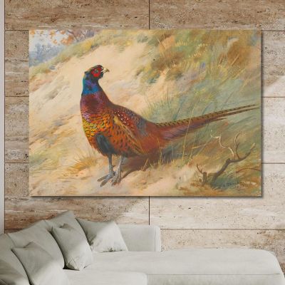 Fagiano Archibald Thorburn, ath81 quadro stampa su tela