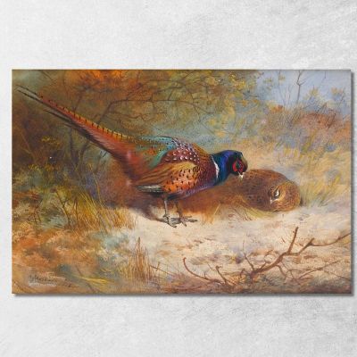 Fagiani Archibald Thorburn ath84 quadro stampa su tela