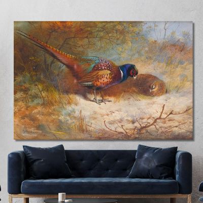 Fagiani Archibald Thorburn, ath84 quadro stampa su tela