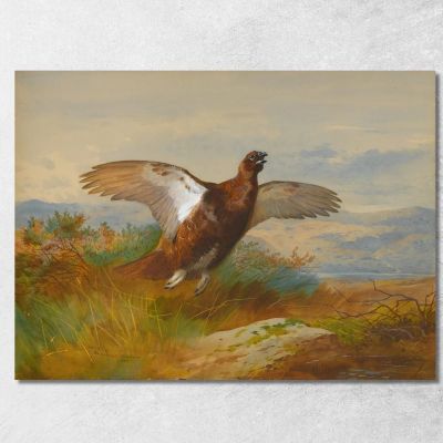 Pernice Rossa In Volo Archibald Thorburn ath86 quadro stampa su tela