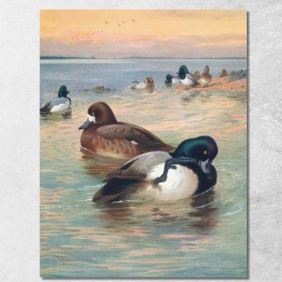 Moretta Archibald Thorburn ath90 quadro stampa su tela