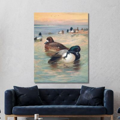 Fuligule Milouin Archibald Thorburn, ath90 tableau impression sur toile