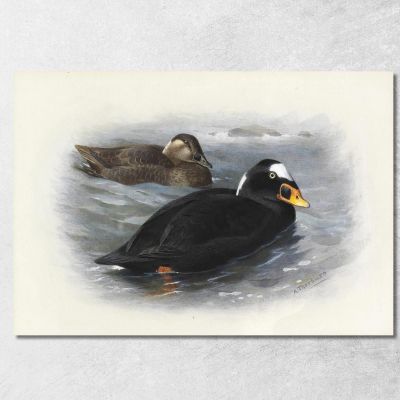 Orco Marino Archibald Thorburn ath96 quadro stampa su tela