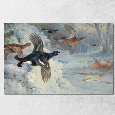 Attraverso Le Macchie Innevate - Gallo Forcello Archibald Thorburn ath105 quadro stampa su tela