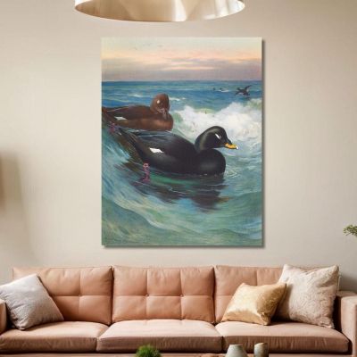 Pato Negro Archibald Thorburn, ath107 cuadro en lienzo