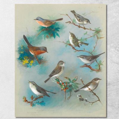 Cannaiola E Scriccioli Archibald Thorburn ath108 quadro stampa su tela