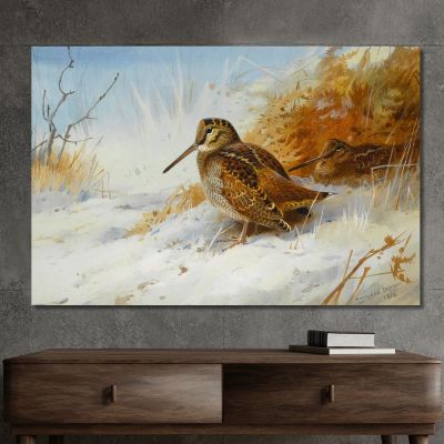 Beccaccia In Inverno Archibald Thorburn, ath112 quadro stampa su tela