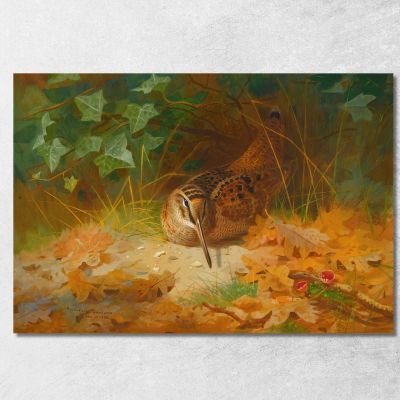 Beccaccia Archibald Thorburn ath115 quadro stampa su tela