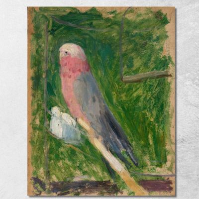 Pappagallo Tadeusz Makowski tmk133 quadro stampa su tela