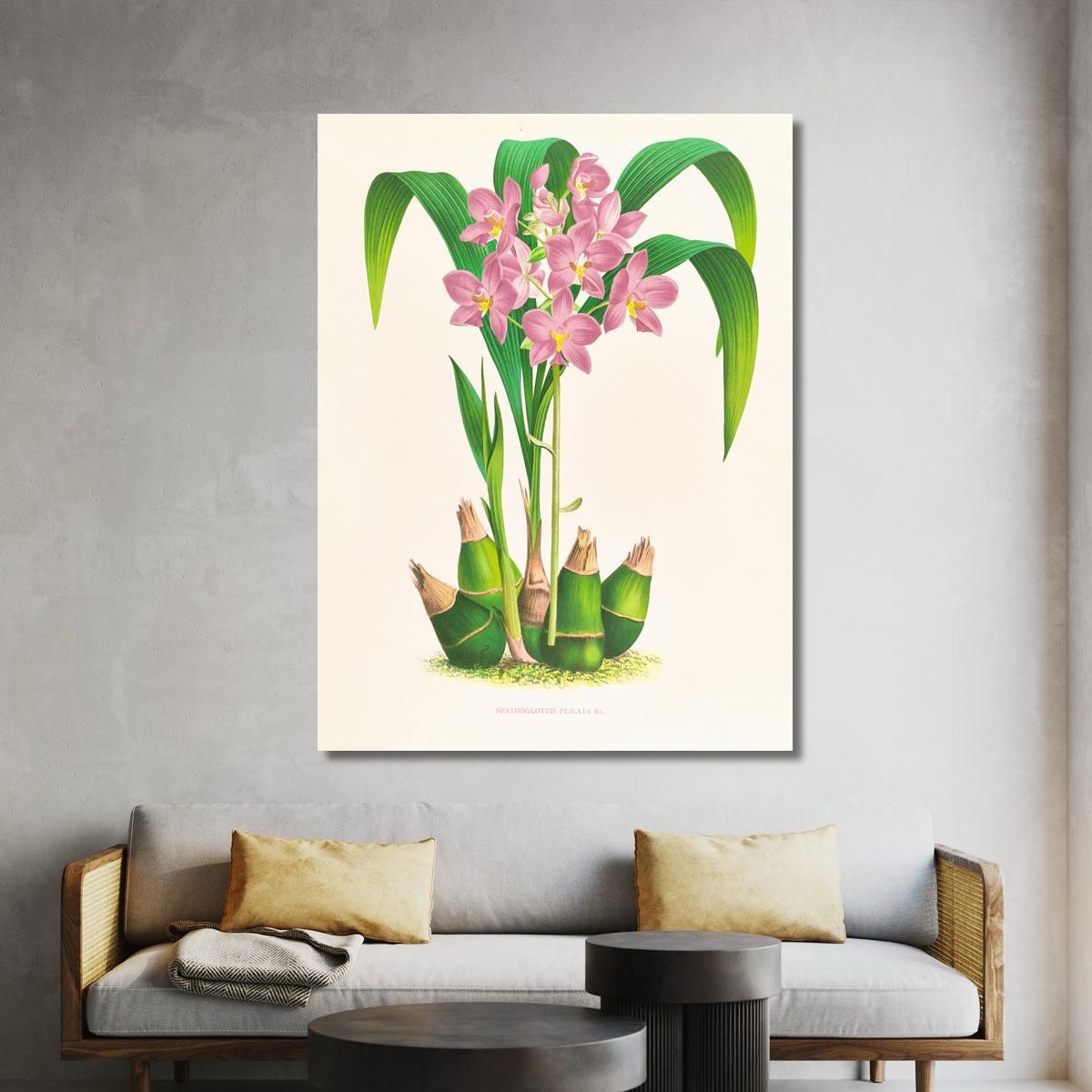 Illustrazioni Botaniche Spathoglottis Plicata Jean Jules Linden jjl151 quadro stampa su tela