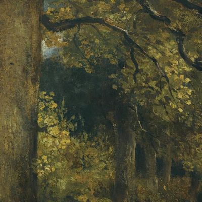 Una Giovane Ragazza In Un Paesaggio Boschivo John Constable jcn12 quadro stampa su tela