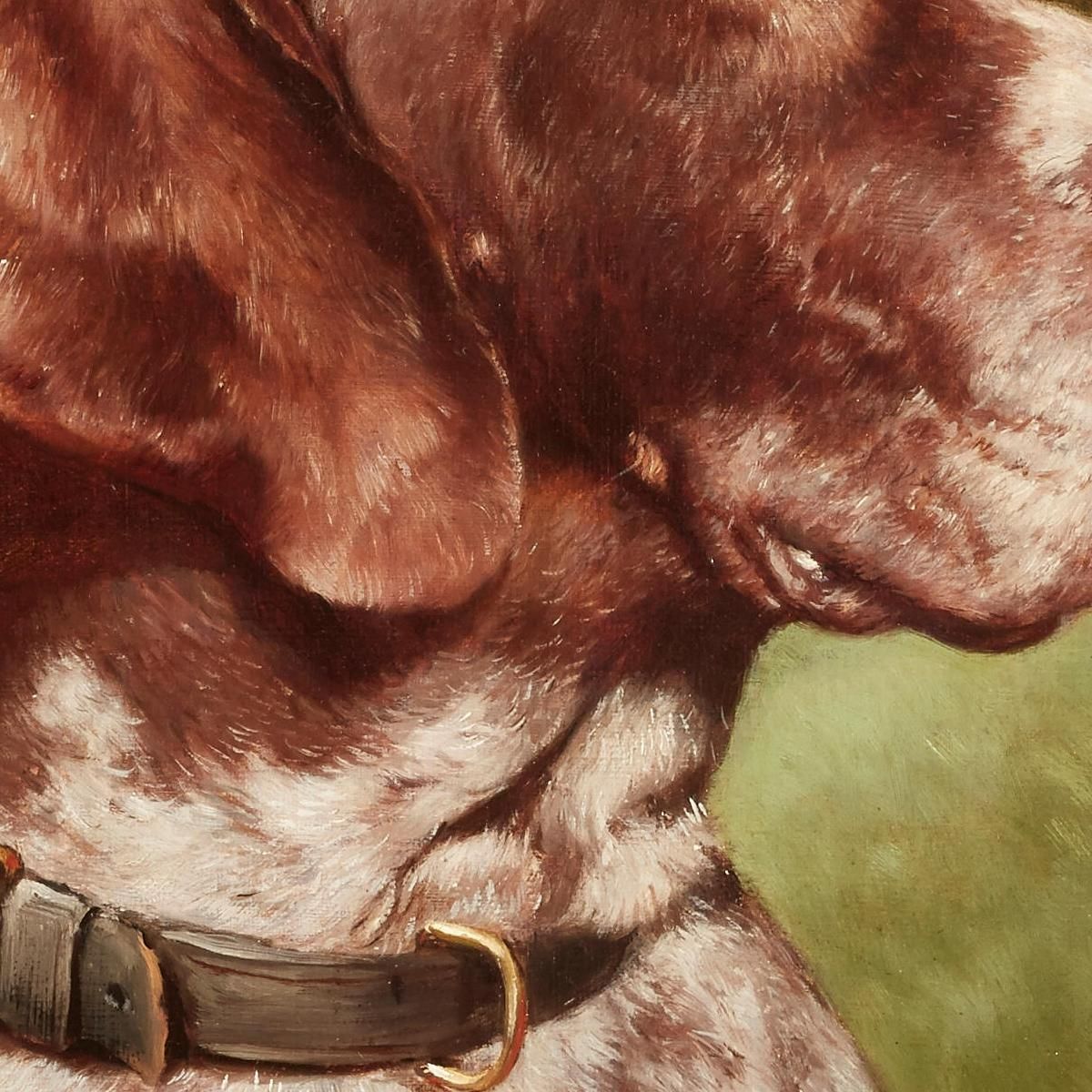 Testa Di Un Bracco Tedesco Carl Reichert crc30 quadro stampa su tela