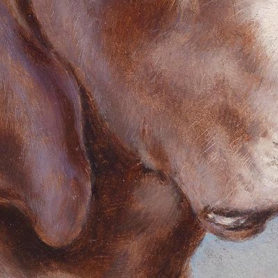 Ritratto Di Un Cane Carl Reichert crc31 quadro stampa su tela Ritratto Di Un Cane Carl Reichert crc31 quadro stampa su tela