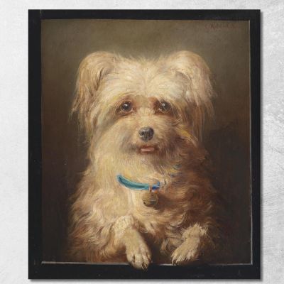 Griffoncino Nano Carl Reichert crc61 quadro stampa su tela