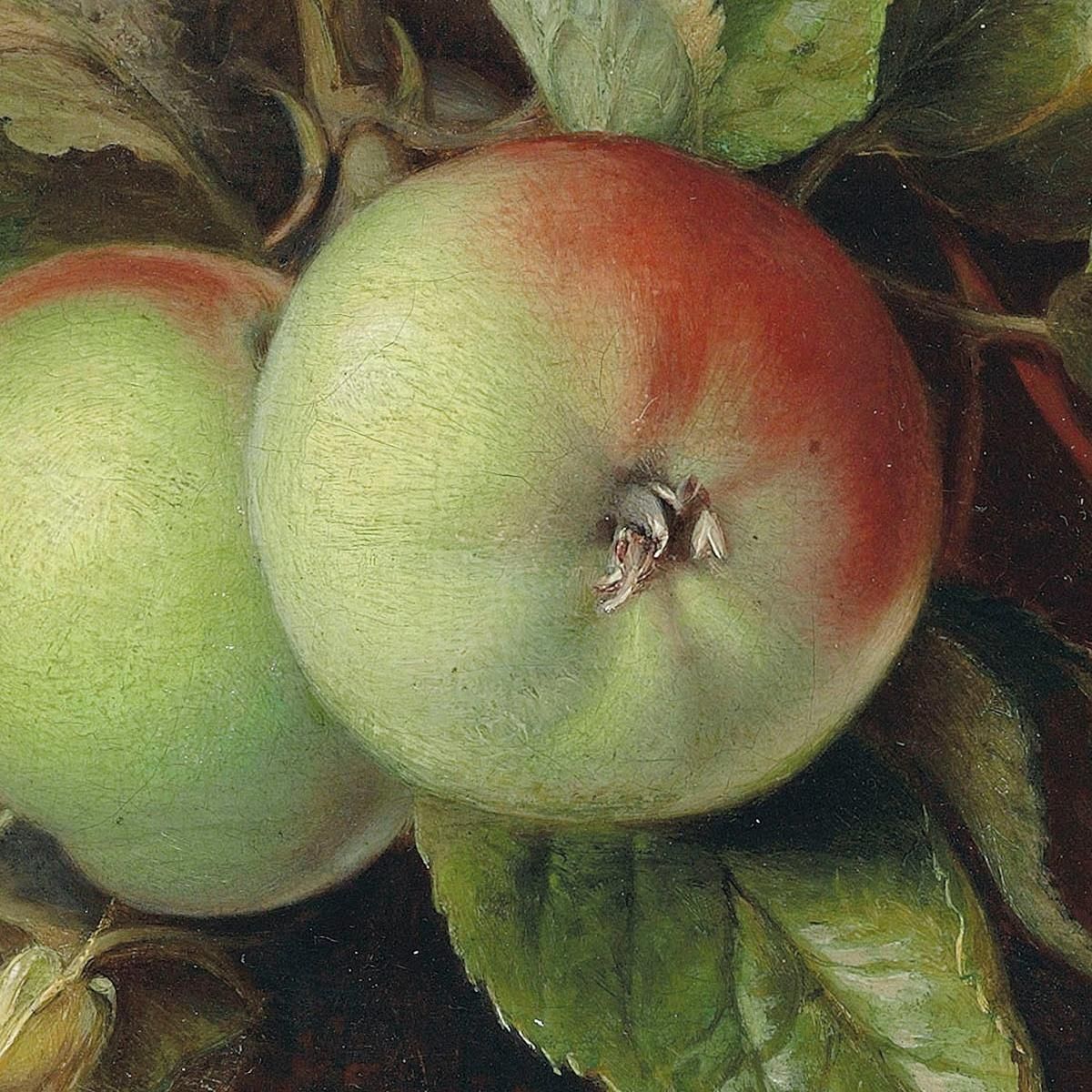 Autunno: Mele E Convolvolo Edward John Poynter ejp5 quadro stampa su tela