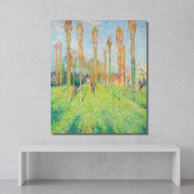 Prado Soleado Con Álamos Henri Martin, hmt71 cuadro en lienzo