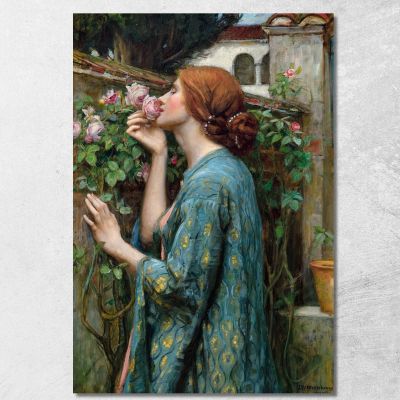 L'Anima Della Rosa John William Waterhouse jww38 quadro stampa su tela