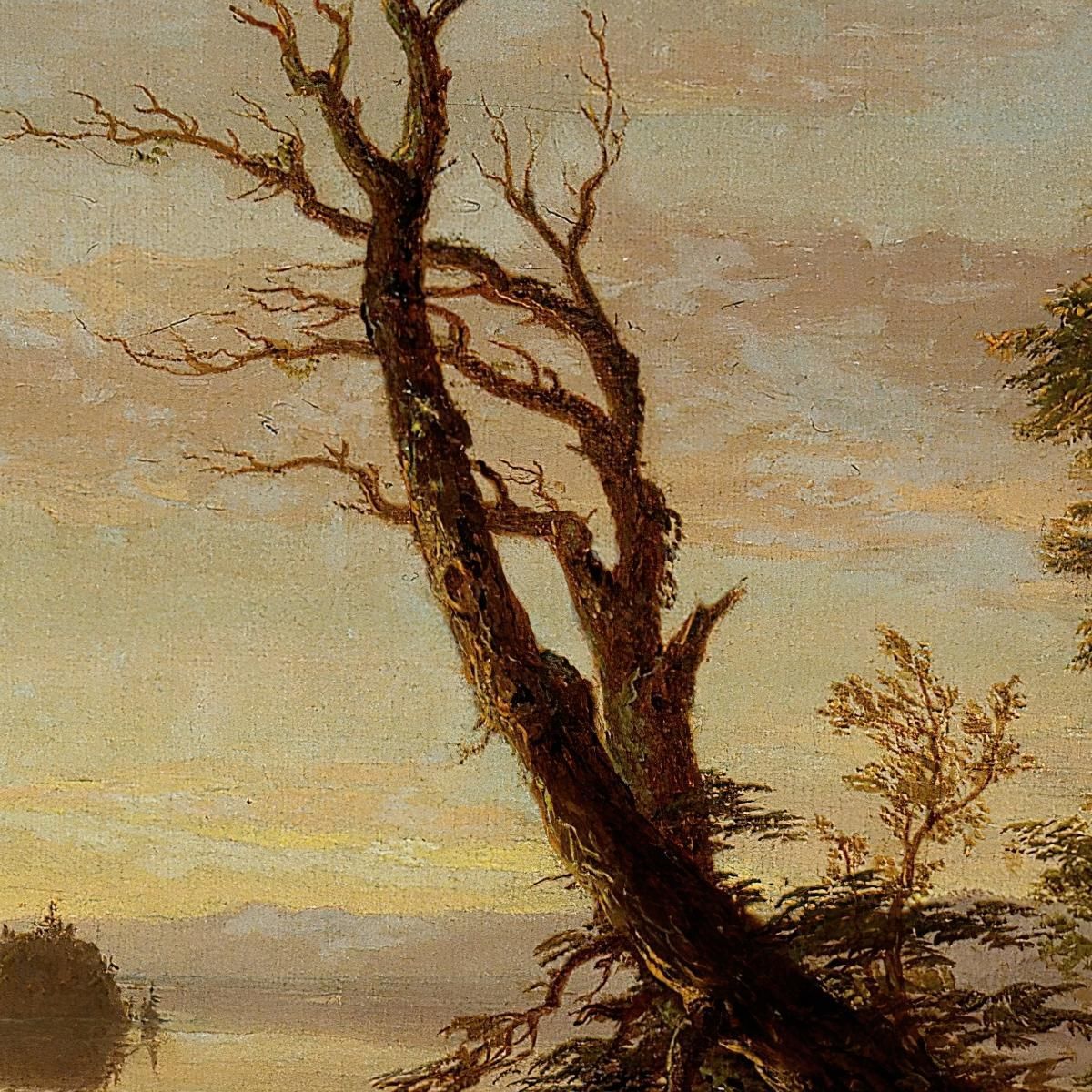 Scena Di Un Lago Americano Thomas Cole tcl5 quadro stampa su tela