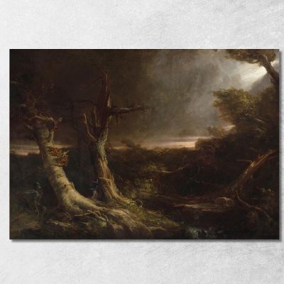 Tornado In Una Foresta Americana Thomas Cole tcl52 quadro stampa su tela