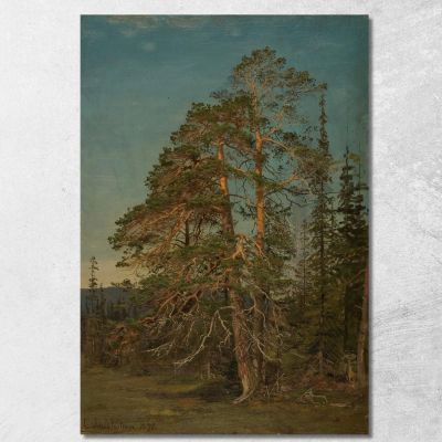 Pini Levanger Amaldus Nielsen ani115 quadro stampa su tela