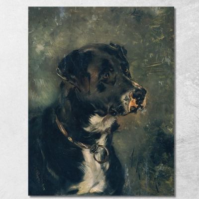Testa Di Un Cane Macellaio / Testa Di Cane Anton Romako arm36 quadro stampa su tela