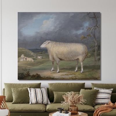 Une Brebis Border Leicester James Ward, jwr1 tableau impression sur toile