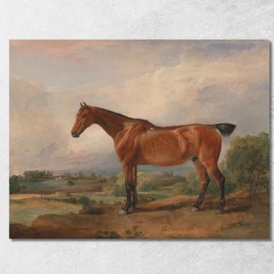 Un Cacciatore In Un Paesaggio James Ward jwr4 quadro stampa su tela
