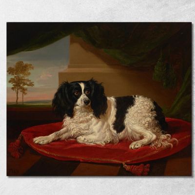 Un Cane King Charles Spaniel Su Un Cuscino Rosso James Ward jwr5 quadro stampa su tela