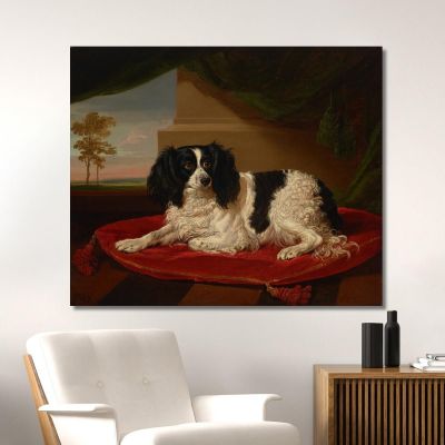 Un Cane King Charles Spaniel Su Un Cuscino Rosso James Ward, jwr5 quadro stampa su tela