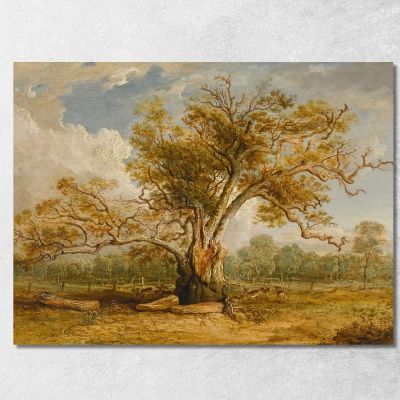 Una Quercia Nel Richmond Park Con Un Branco Di Daini Accanto James Ward jwr6 quadro stampa su tela
