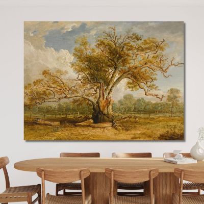 Eine Eiche Im Richmond Park Mit Einer Herde Damhirsche Daneben James Ward, jwr6 drucken auf leinwand