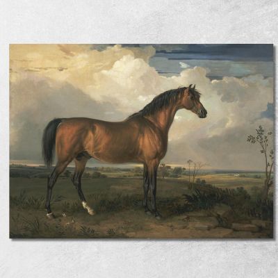 Aquila Uno Stallone Celebre James Ward jwr16 quadro stampa su tela