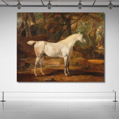 Grey Arabian Stallion The Property Of Sir Watkin Williams-Wynn James Ward, jwr18 canvas print