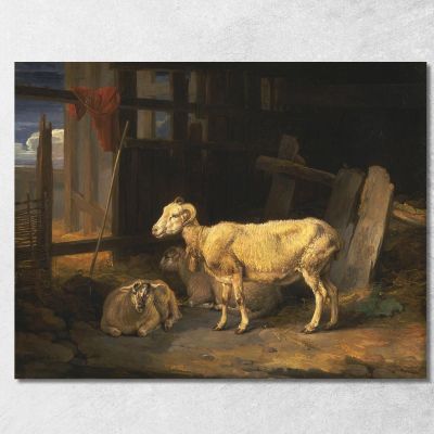 Pecora Di Brughiera E Agnelli James Ward jwr19 quadro stampa su tela
