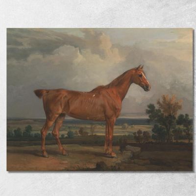 Cacciatore In Un Paesaggio James Ward jwr20 quadro stampa su tela