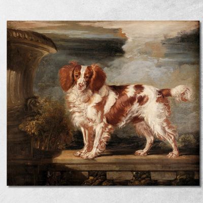 Ritratto Di Dash Uno Spaniel Preferito Di Proprietà Di Lady Frances Vane-Tempest James Ward jwr27 quadro stampa su tela