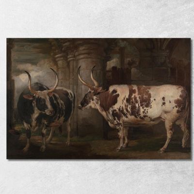 Ritratti Di Due Buoi Straordinari Di Proprietà Del Conte Di Powis James Ward jwr29 quadro stampa su tela